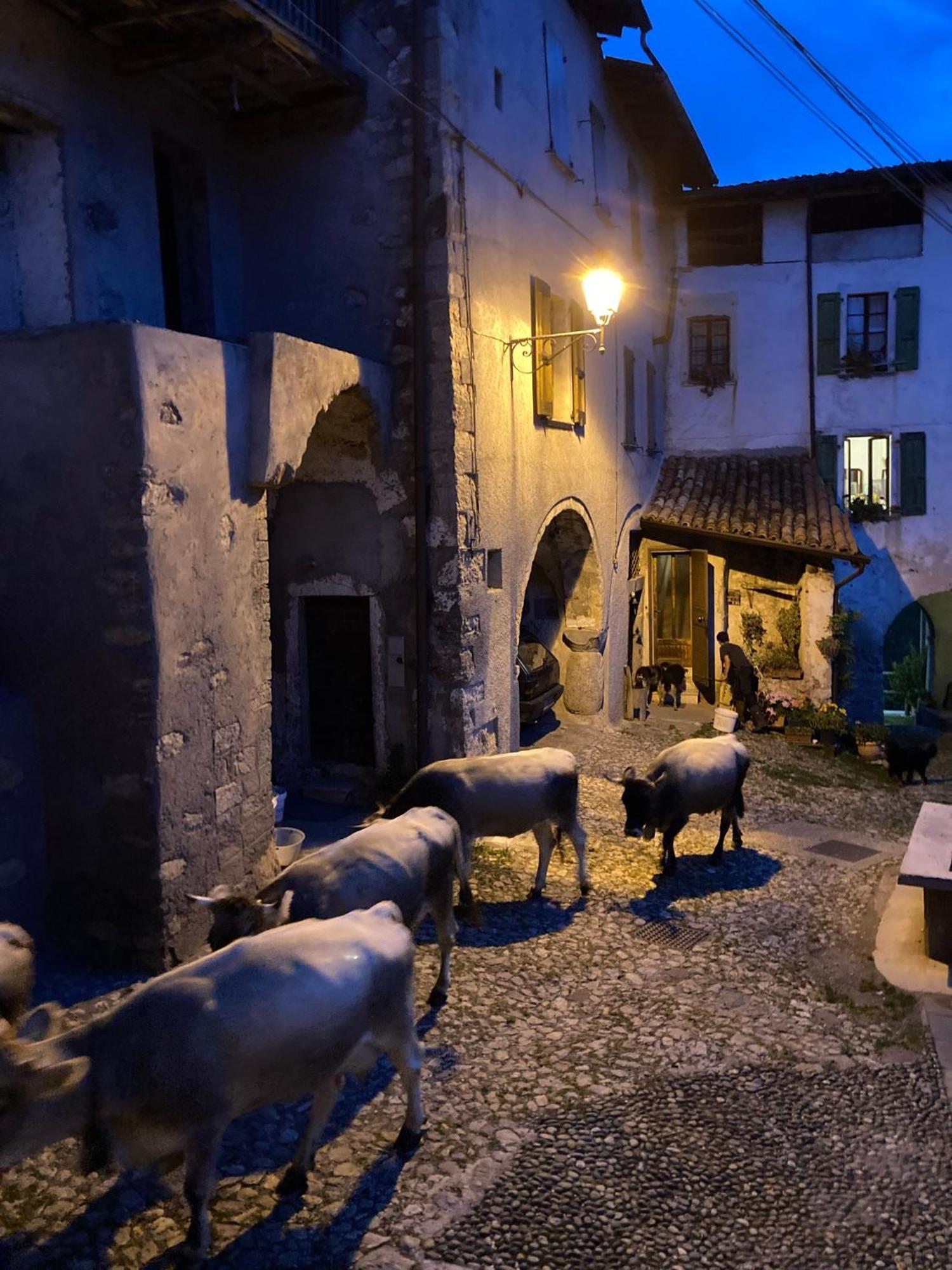 A Casa Di Gianni E Mari Vestone Exterior foto